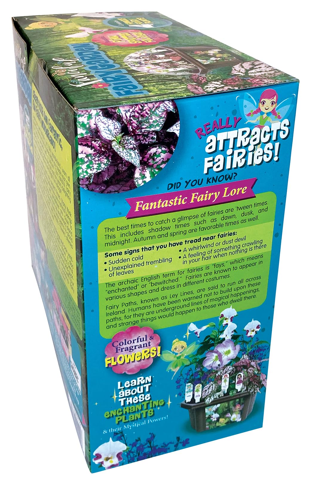 Toys by Nature Fanciful Fairy Biosphere Terrarium Starter Kit, Complete Supplies Included to Create Your Own Enchanting Garden and Indoor Plants! (Fanciful Fairy Garden) TOYS BY NATURE