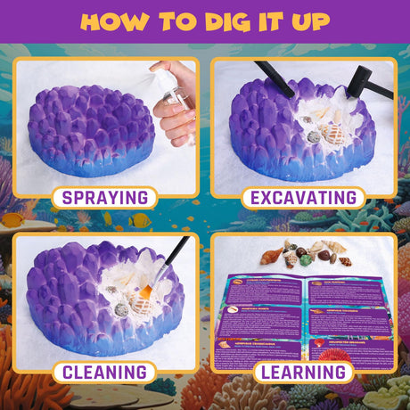PIBEX Ocean Fossil Dig Kit, Dig up 20+ Real Shells & Seasnails, STEM Educational Activity Set Sea Creatures Excavation Toy for Kids, Marine Biology Geology Science Kit, Gift for Boys and Girls Age 6+ PIBEX