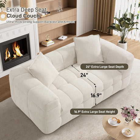 DAMAIFROM 66.5" Chenille Cloud Sofa Couch with 2 Soft Pillows, Comfy Upholstered Chenille 2 Seater LoveSeat Sofa, Modern Deep Seat Sherpa Cloud Couch, Oversized Love Seat for Living Room, Beige White DAMAIFROM