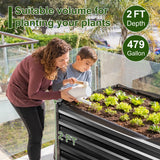 EDOSTORY Metal Raised Bed Garden Bed Kit, 8x4x2ft Tall Galvanized Planter Raised Garden Boxes Outdoor, Large Metal Raised Garden Beds for Flowers, Vegetables, Herbs EDOSTORY