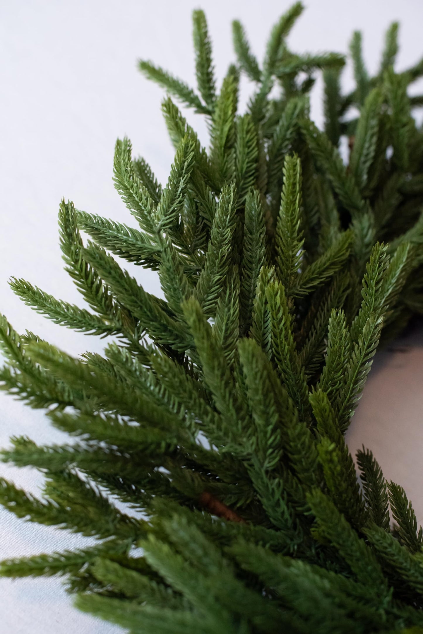 Vita Domi 12" Real Touch Norfolk Pine Wreath, Christmas Wreaths for Front Door Outside, Green Wreath Christmas, Faux Cedar Wreath, Window Wreaths, Evergreen Wreath, Norfolk Wreath, Chair Wreath