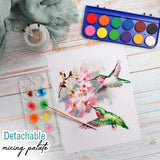 2 Pack Watercolor Paint Set 12 Vivid Colors Includes Watercolour Mixing Palette and 2 Brushes, Perfect For Artists, Beginner Painters, Kids and Adult Painting Ultimate Stationery
