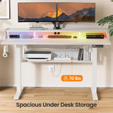 ErGear Standing Desk, 48x24 Inch Electric Standing Desk with Shelves, Height Adjustable Desk with Monitor Stand and Storage, Gaming Sit Stand Up Desk with LED Light for Home Office, White ErGear