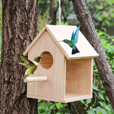 Bird House for Outside, Outdoor Wooden Birdhouse with Transparent Acrylic Window, Bird Nest Box with Pole for Garden Patio, Hanging Birdhouse for Sparrow Hummingbird Finch 5.7 × 5.7 × 8.7 Inches