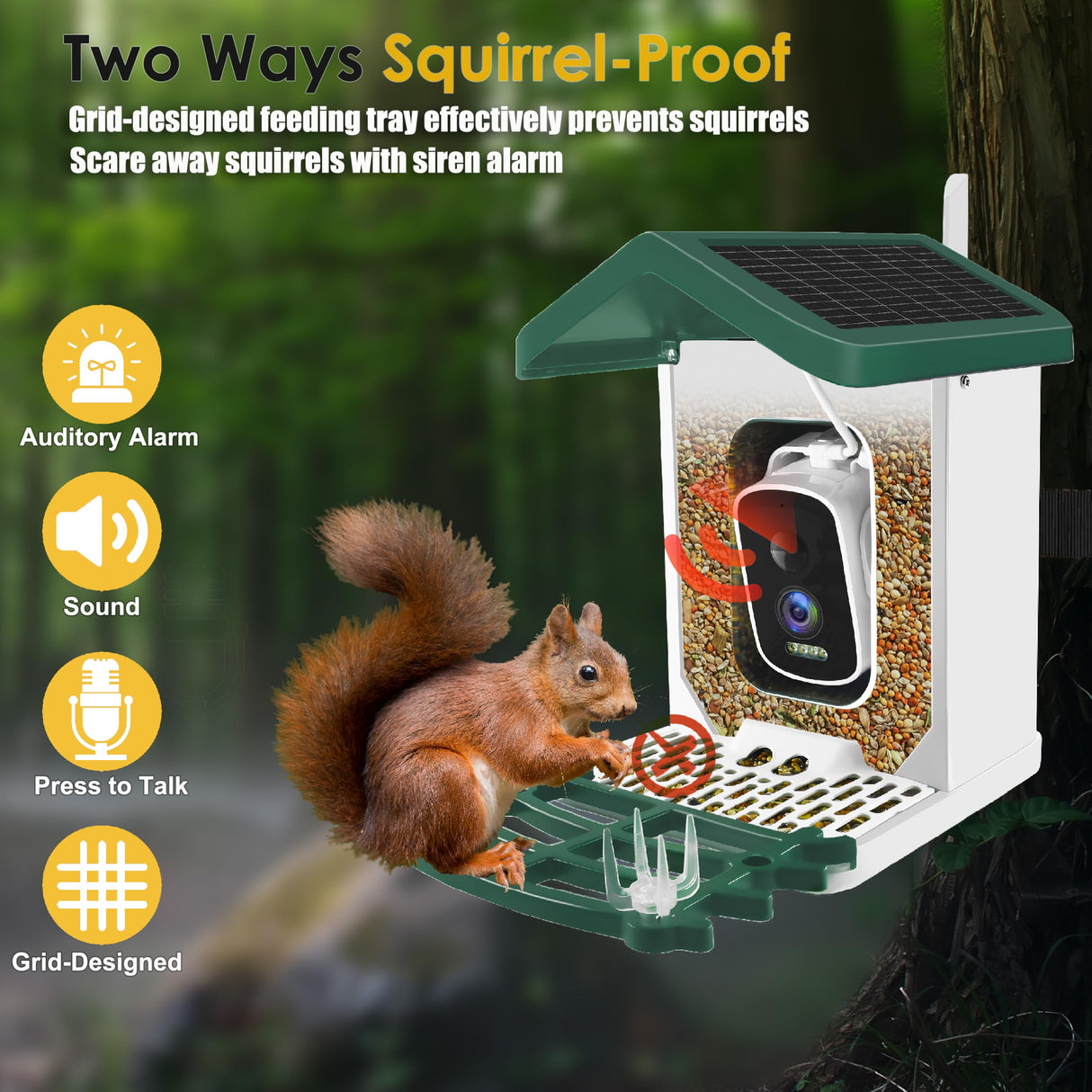 ImmSss Bird Feeder with Camera,Smart AI Identify Bird Species,Solar Hummingbird House Outdoor with 2.5K HD Cam,Live View,Instant Alerts,Capture Bird Video,Squirrel-Proof,Ideal Gift for Bird Lover ImmSss
