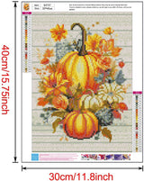 Fall Diamond Painting Kits for Adults,5D DIY Diamond Art Kits Full Round Drill, Pumpkins with Flowers Picture Paint with Diamonds Crafts Mosaic Art for Home Wall Decor 12X16 Inch(30X40CM MjhRcll