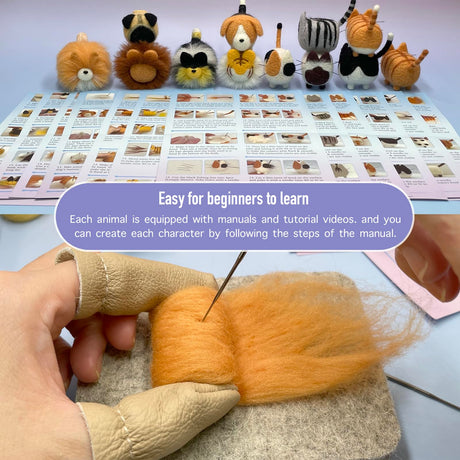Truslin Needle Felting Kit, DIY Crafts for Adults Women, Hobby Kit with Felting Supplies,Felting Needles, Felting Wool and Tools for Beginners, Adult Craft Kits, Faceless Animals 12pcs Truslin