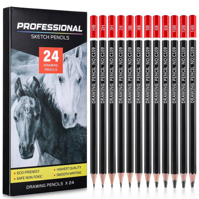 24 Pack Drawing Sketching Pencil Set, Art Pencils for Sketching(14B - 3H), Graphite Shading Pencils for Drawing, Ideal for Art Creation, Shading, Beginners & Artist