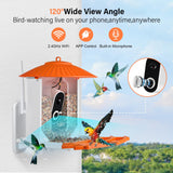 Smart Bird Feeder with Camera, Wireless Outdoor Solar Bird Feeder, Solar-Powered WiFi 1080P Live Camera, Auto Capture & Motion Detection ZENFLIX
