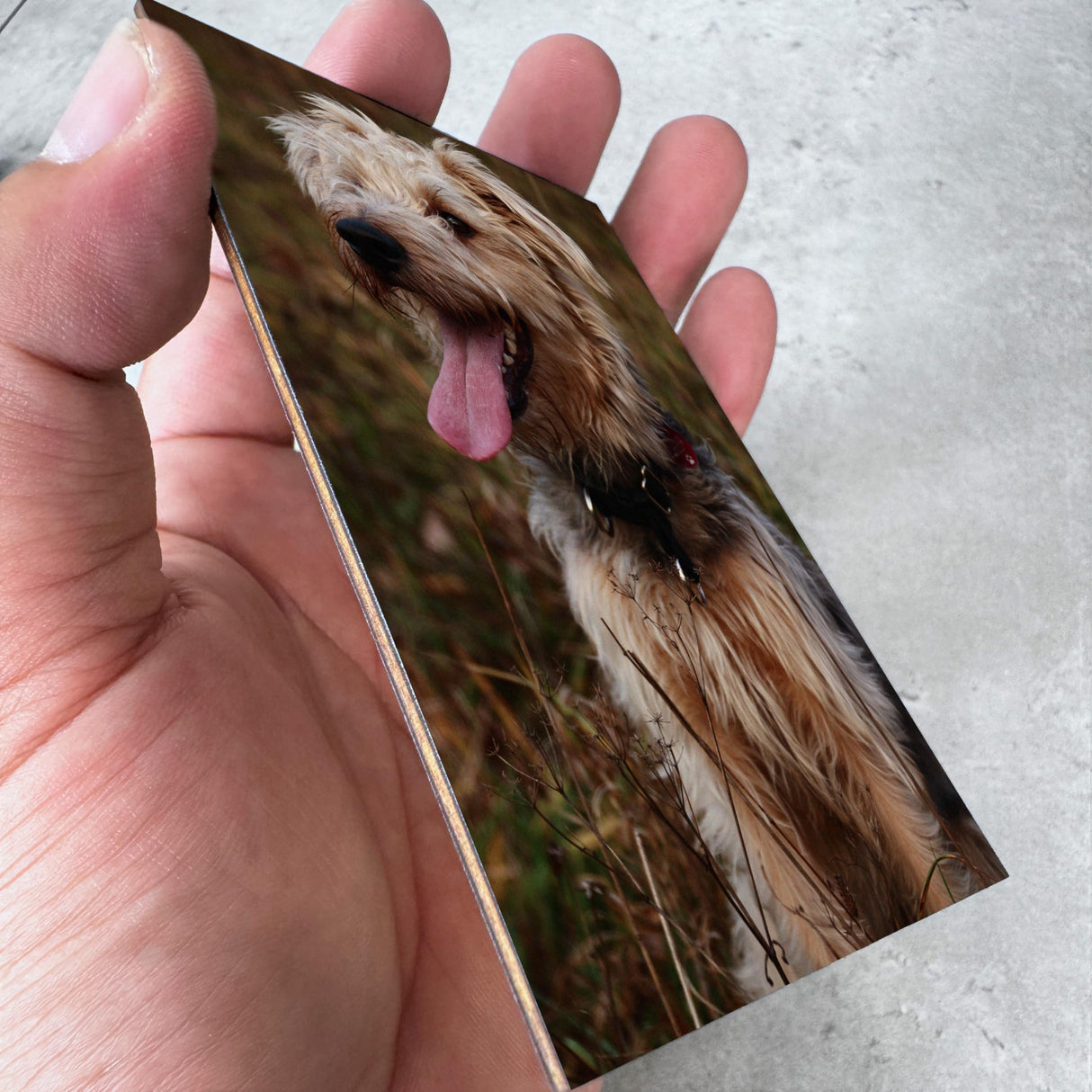 Personalized Shadow Box Dog Memorial Gift Collar Holder Picture Frame Sympathy Wood Pet Dog Cat Sculptures Fur Jar Rainbow Bridge Urns Teeth Keepsake Idea Gift for Pet Lover Tabletop Wall Hanging vinatimes