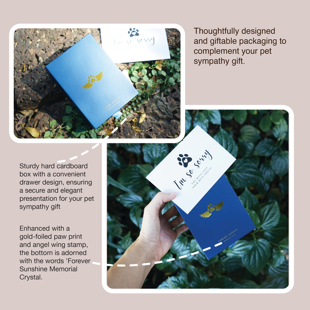 Pet Memorial Suncatcher, Dog Memorial Gifts, Pet Loss, Pet Sympathy, Thoughtful Dogs and Cats Remembrance, Bereavement Gifts ARUN