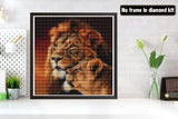 Bimkole 5D Diamond Painting Kits Lion Couple, Full Drill Beast DIY Rhinestone Embroidery Set Paint with Diamonds Art by Number Kits Cross Stitch Home Wall Craft Decoration (12x12inch) Bimkole