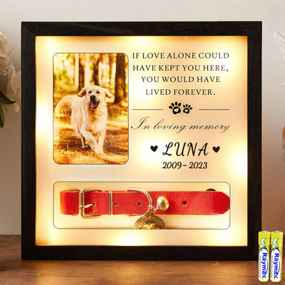 Pet Memorial Picture Frame Dog Collar Shadow Box 10"x10", Sympathy Remembrance Gift Keepsake for Loss of Dog or Cat, for Medium or Small Size Collars