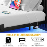 DWVO Queen Size Floating Bed Frame, LED Bed Frame with USB Port, Queen Metal Platform Bed with Heavy Duty Steel Slats, No Box Spring Needed, Easy Assembly, Black DWVO