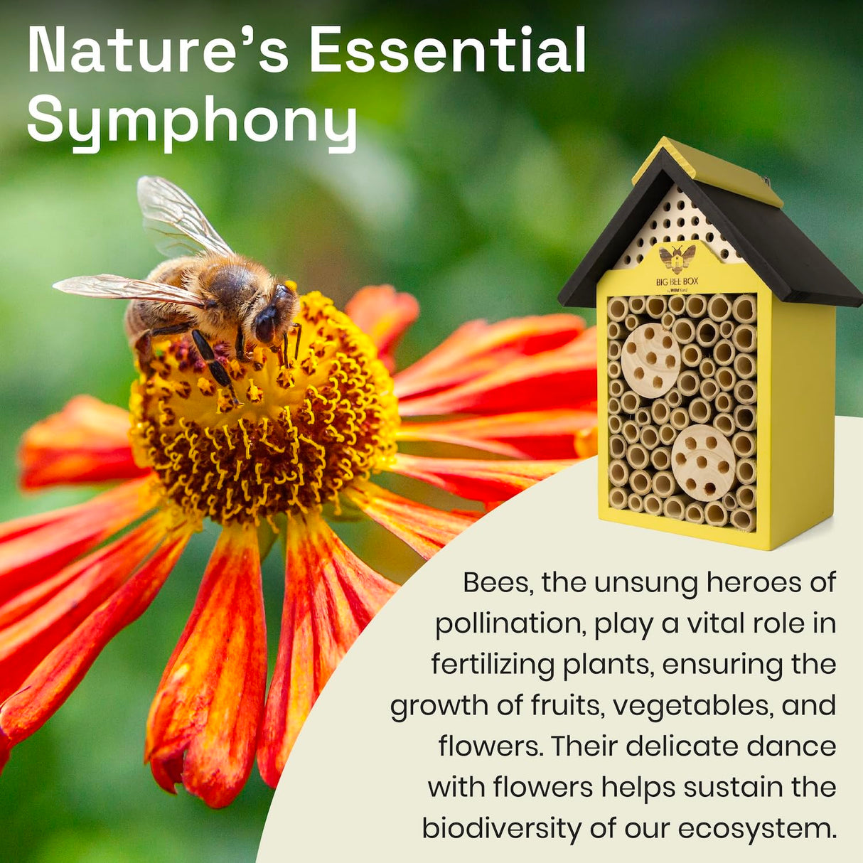 WildYard Bee House - Weather Resistant Natural Wood Construction Mason Bee House - Simple Installation, Bee Box for Power Pollinators, Ideal Bee Houses for The Garden WildYard