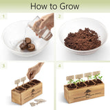 Avergo Bonsai Tree Kit – 4X Unique Japanese Bonzai Trees | Complete Indoor Starter Kit for Growing Bonsai Plants with Tools & Planters – Gardening Gifts for Women & Men AVERGO