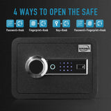 Tenamic Biometric Fingerprint Safe Box 0.85 Cubic Feet Fireproof Waterproof Safe Box with Induction Light and Leather, Solid Alloy Steel Office Hotel Home Cabinet Safe, Black Tenamic