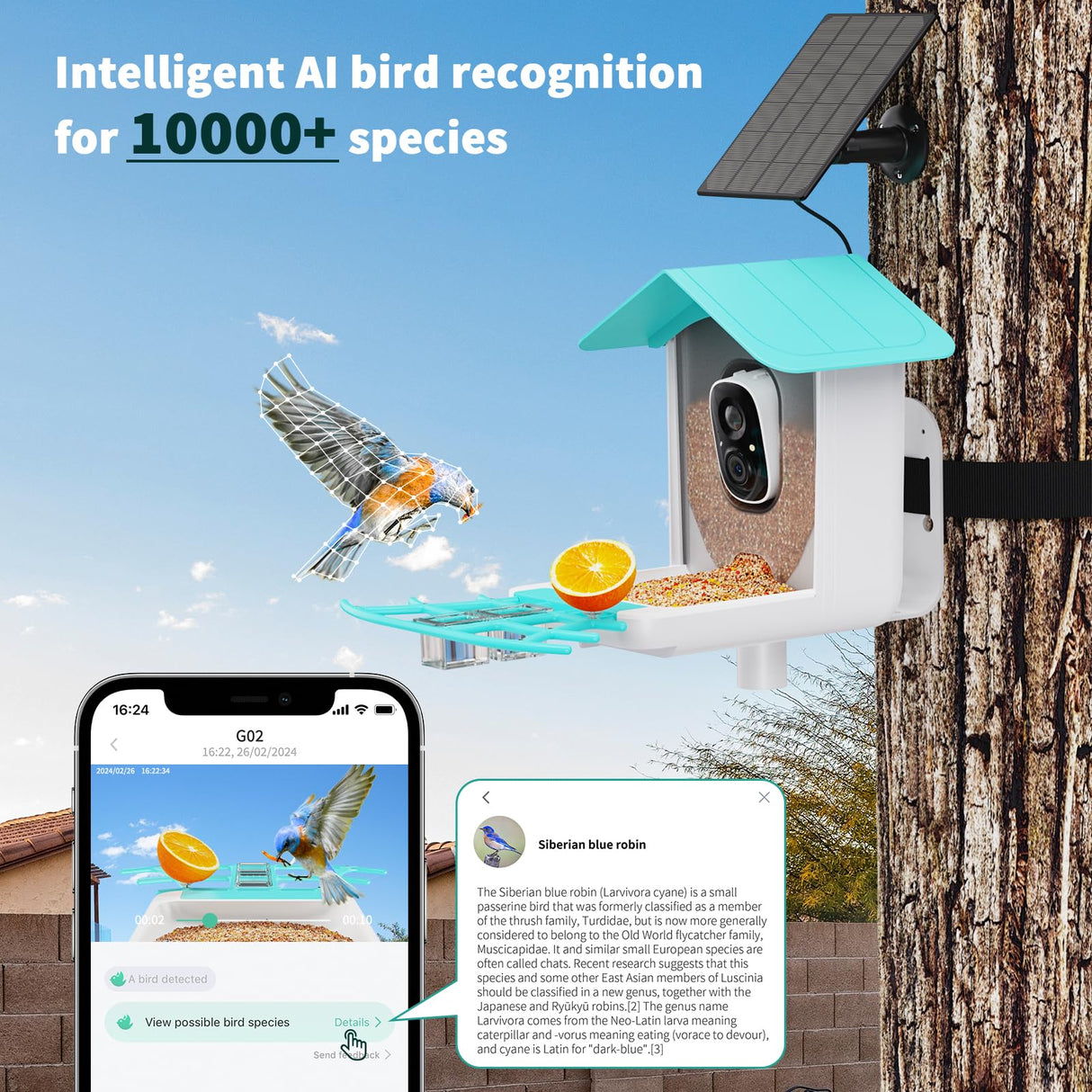 Smart Bird Feeder with Camera, Bird House with Cam with AI Identify Bird Species, Auto Capture Bird Videos & Motion Detection, Real Time Views, Bird Watching Camera Gift for Bird Lover HARYMOR