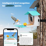 Smart Bird Feeder with Camera, Bird House with Cam with AI Identify Bird Species, Auto Capture Bird Videos & Motion Detection, Real Time Views, Bird Watching Camera Gift for Bird Lover HARYMOR