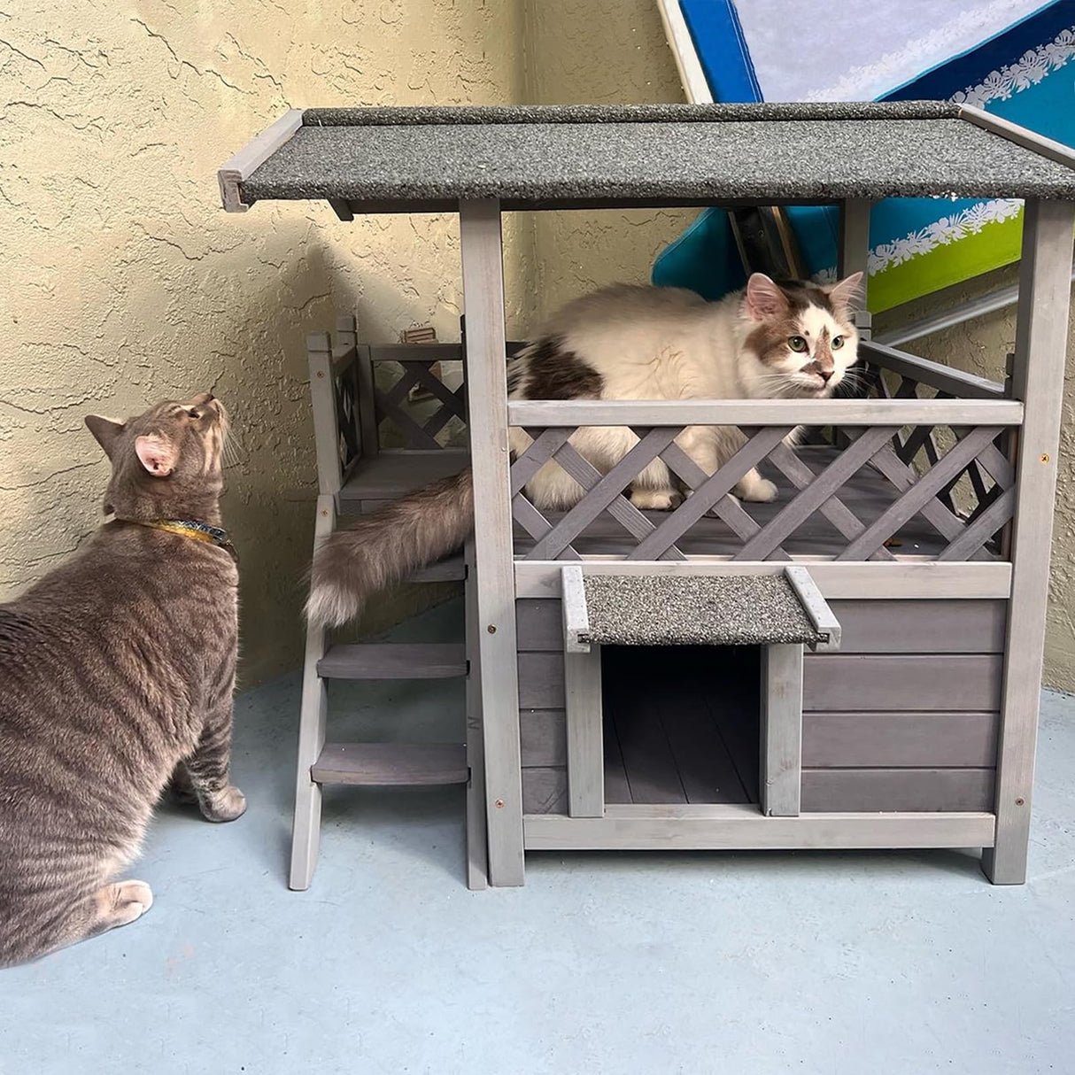 GUTINNEEN Cat House Outdoor Weatheproof Feral Cat Shelter Wooden Cat Condos for Winter Large Balcony GUTINNEEN