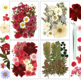 Resiners 100Pcs Dried Pressed Flowers for Resin Molds, Red Real Natural Dried Flowers Dry Leaves kit for Scrapbook Supplies Card Making Resin Jewelry Making Soap Candle DIY Crafts Resiners