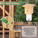 2 PCS Wood Carpenter Bee Trap for Outside - Best Bee Trap - Nature Hanging Carpenter Bee Traps Plastic Jar Outdoor - Insect Traps Best Bee Trap