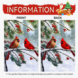 Dacawin Winter Cardinal Bird Garden Flag Red Bird Pine Twigs Yard Flag Double Sided Polyester Holly Berry Snow Seasonal Garden Flags for Outdoor Farmhouse Christams Holiday Decor 12x18 Inch Dacawin