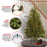 National Tree Company Pre-Lit Artificial Full Christmas Tree, Green, North Valley Spruce, White Lights, Includes Stand, 4.5 Feet National Tree Company