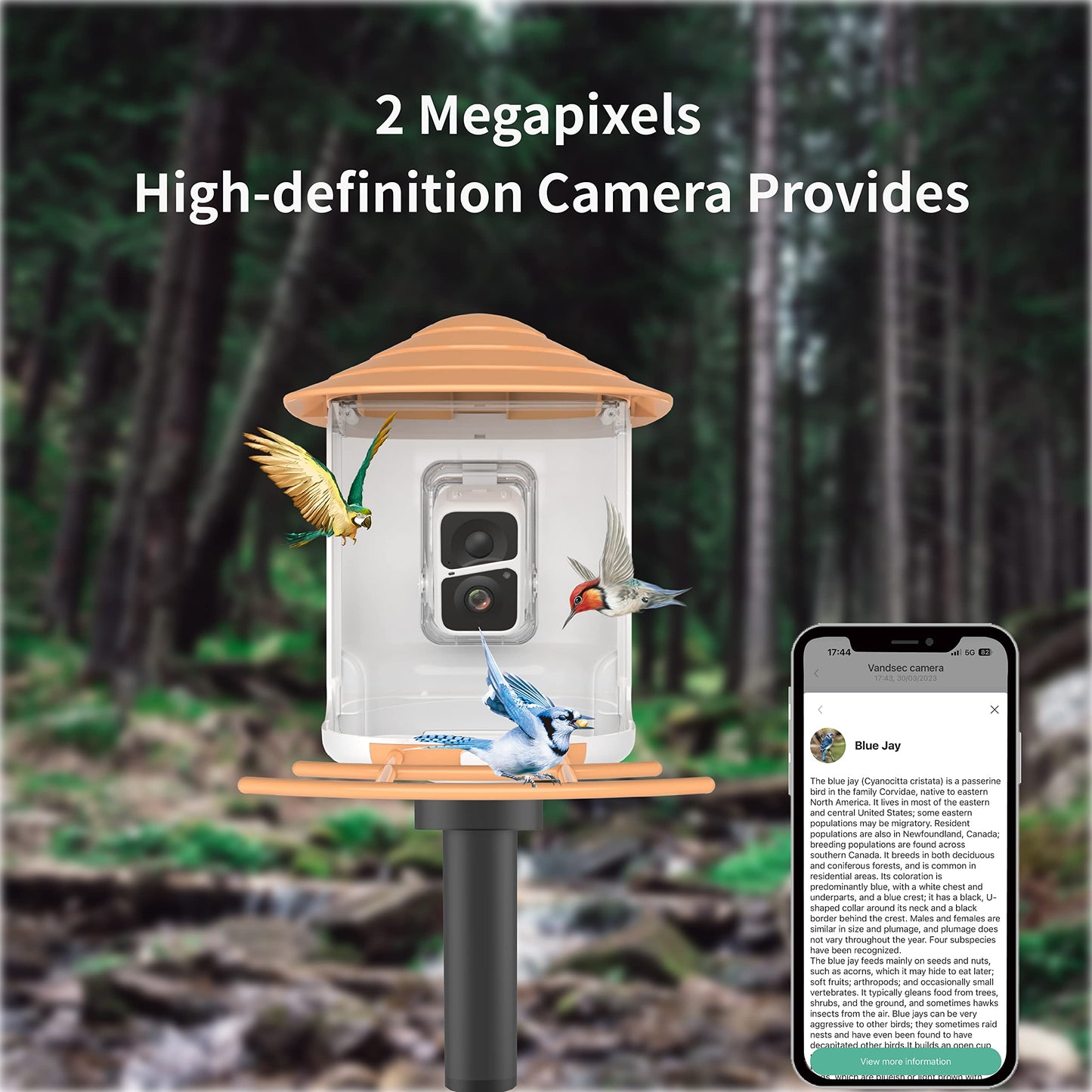 Smart Bird Feeder with Camera, AI Identify Bird, Solar Panel, 1080P HD Live Camera, Auto Capture Bird Video and APP, 2.4G WiFi Connection