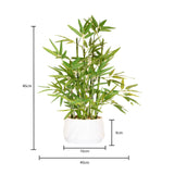 365 Blooming Decor 18 inch Tall White Potted Faux Bamboo Plant- Luxury Artificial Bamboo Tree in White Pot for Home, Office, Kitchen, Counter Top, Indoor Decor, Money Tree, Lucky Bamboo Tree. 365 BLOOMING DECOR INC.