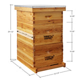Honey Keeper Beehive 10 Frame Complete Box Kit Coated in 100% Beeswax (Waxed Boxes, 2 Deep and 1 Medium) with Wooden Frames and Waxed Foundations for Langstroth Beekeeping Honey Keeper