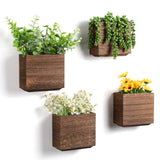 Qinyoung 4 Pack Wood Wall Planters Natural Hanging Plant Pots Plant Holder Natural Farmhouse Wall Hanging Decor Vase for Plants Indoor Artificial Plants Propagation Wall Planters Qinyoung