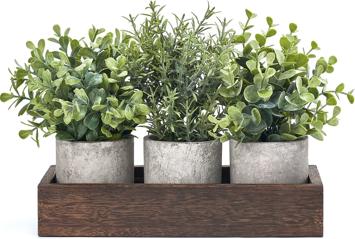 Dahey 3 Pack Mini Potted Artificial Eucalyptus Fake Plants with Wood Tray Centerpiece Table Decorations, Farmhouse Pulp Flower Pots Greenery Home Decor for Coffee Table Dining Room Office Kitchen Dahey