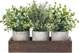 Dahey 3 Pack Mini Potted Artificial Eucalyptus Fake Plants with Wood Tray Centerpiece Table Decorations, Farmhouse Pulp Flower Pots Greenery Home Decor for Coffee Table Dining Room Office Kitchen Dahey