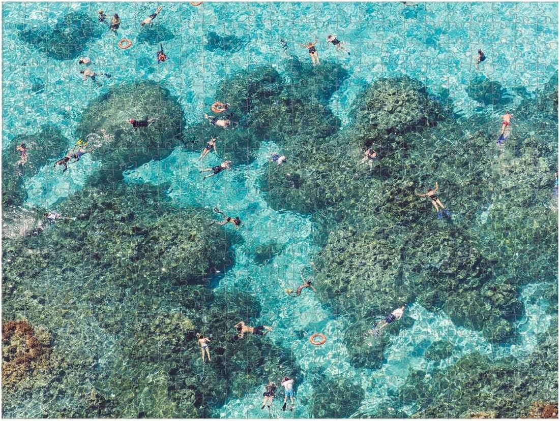 Galison Gray Malin 2-Sided Jigsaw Puzzle, The Beach, 500 Pieces - 24” x 18”, Double-Sided Puzzle with Vibrant Artwork, Perfect for Family Fun, Multicolor (0735357242) Galison