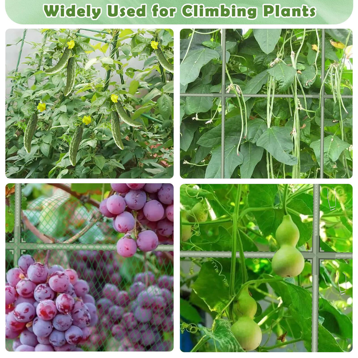 Cucumber Trellis for Raised Bed 65"×48", Garden Arch Trellis for Climbing Plants Outdoor, Metal Garden Trellis for Vegetables, Cucumber Trellis for Tomato, Bean, Pea, Grape, Plant, Squash Tetutor