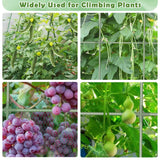 Cucumber Trellis for Raised Bed 65"×48", Garden Arch Trellis for Climbing Plants Outdoor, Metal Garden Trellis for Vegetables, Cucumber Trellis for Tomato, Bean, Pea, Grape, Plant, Squash Tetutor