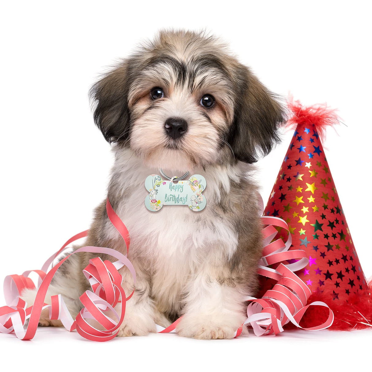 16 Pieces Sublimation Blank Dog Tag Aluminum Dog Tag Bone-Shaped Sublimation Blank Dog Tag Double Sided Dog Tag with Key Ring for Dogs and Cats Pet ID Tag Hotop