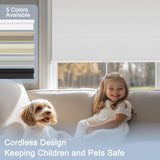 BERISSA Custom Cellular Shades Cordless, Blackout Cellular Window Blinds, Pull Down Blackout Blinds Honeycomb Indoor Windows Shades for Home Office Bedroom, Easy to Install, White BERISSA