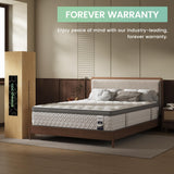 SLEEP100 Twin Mattress 12 Inch, 5-Zone Deep SLEEP Firm Mattress with Extra Lumbar & Shoulder Support, Hotel Collection Hybrid Single Mattresses Pain Relief - Fiberglass Free & No Odor -365 Night Trial SLEEP100