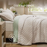 Bedsure Quilts Queen Size - Ultra Soft Queen Quilt Bedding for Modern Farmhouse Bedroom Decor, Lightweight All-Season Comforter, Natural Bedspread Coverlet 90x96 Inch Bedsure