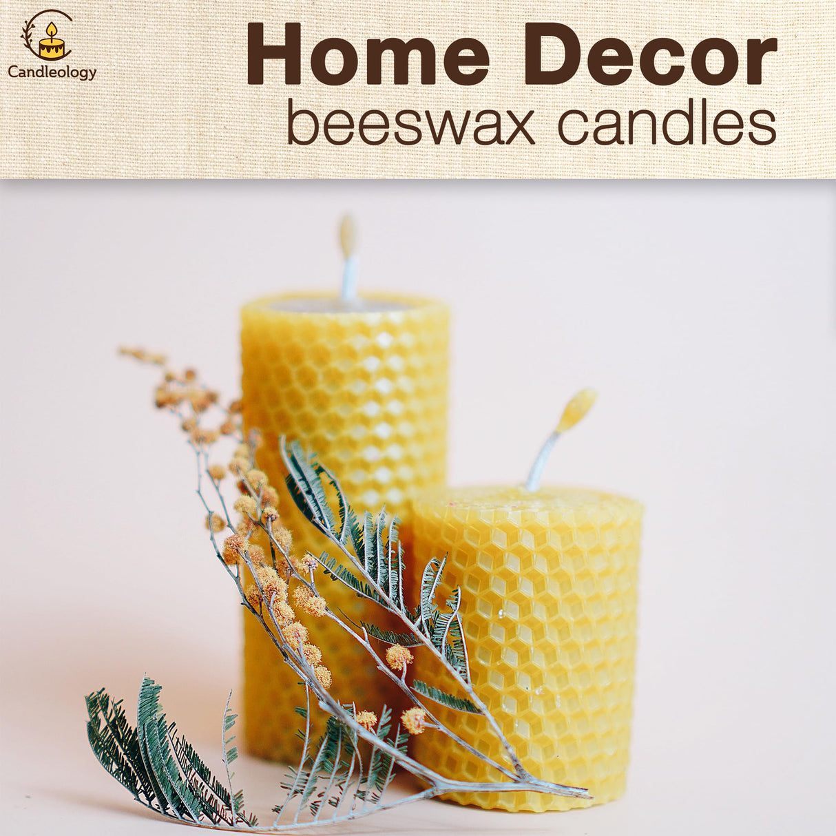 Beeswax DIY Candle Making Kit - Natural Candle Rolling Kit for Beginners with 7 Beeswax Sheets & Multiple Decorations to Make Candles Candleology