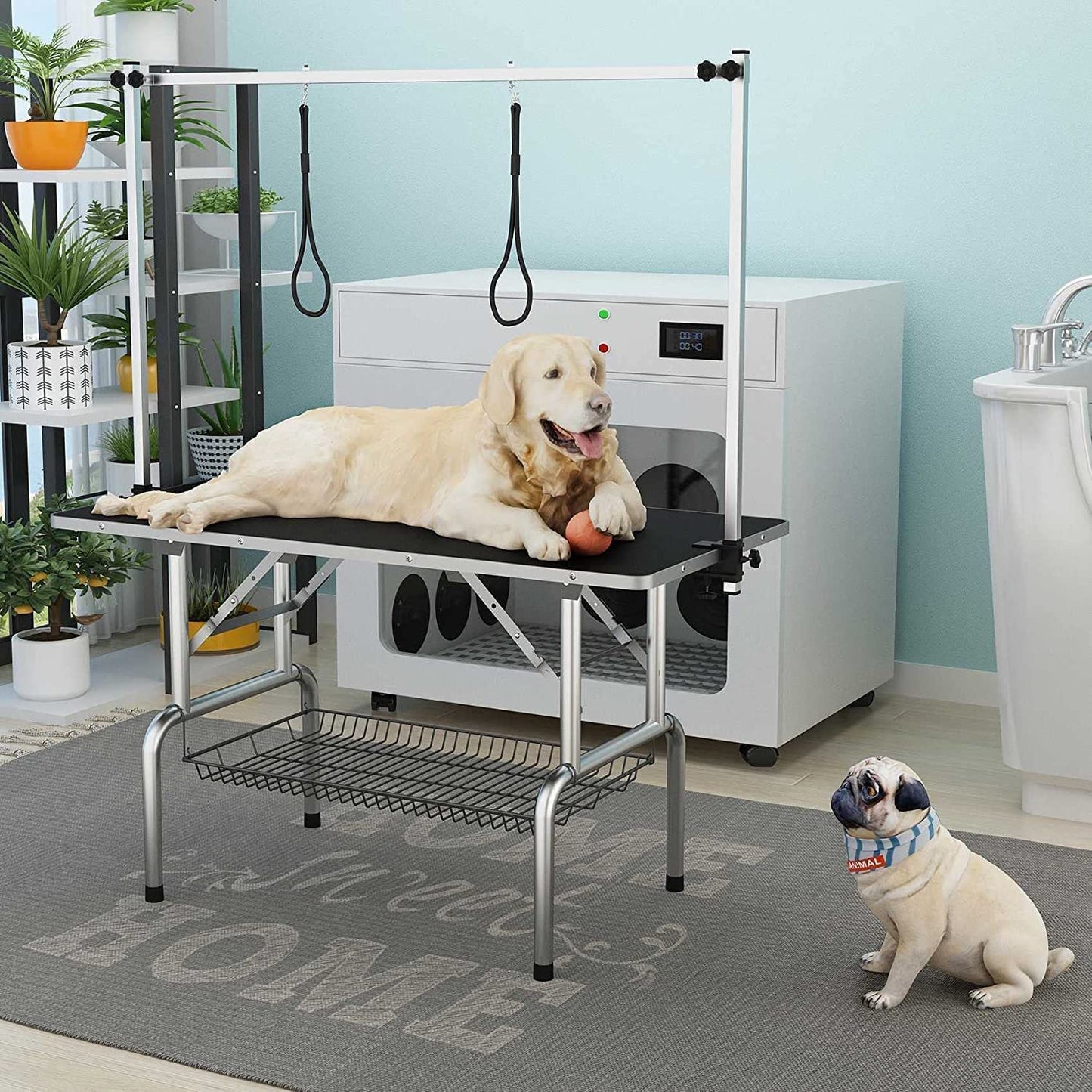 Professional Dog Pet Grooming Table Adjustable Heavy Duty Portable w/Arm & Noose & Mesh Tray (36", Black) - WoodArtSupply