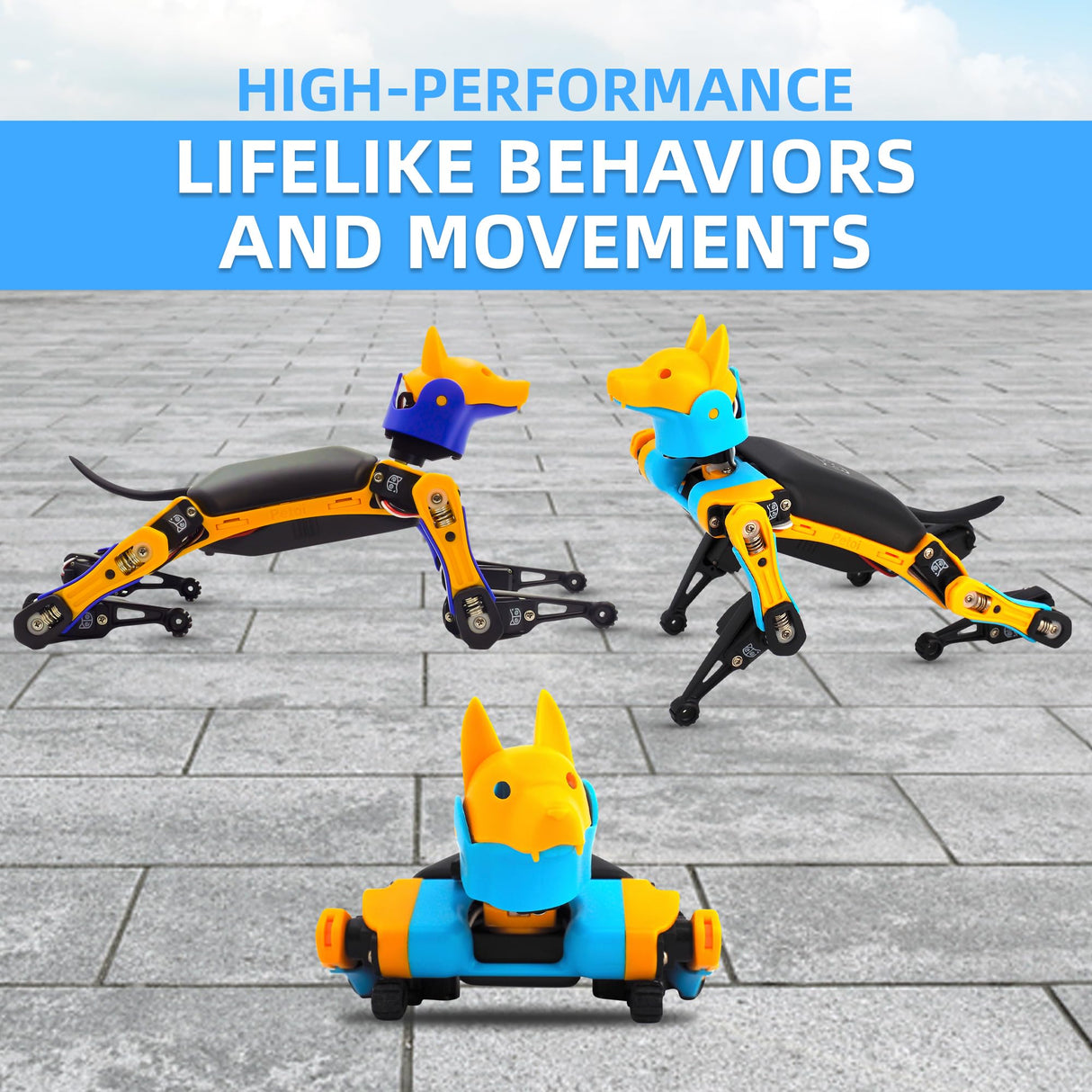 Bittle Robot Dog Kit(Construction) | Coding Smart Robot Pet, Quadruped Robot Kit for STEM & Robotics Education | Programmable Open Source, App Control IoT Robot for Engineers, Geeks, & Students Petoi