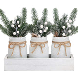 SUPREME LIGHTS ·2017· Christmas Mason Jars, Winter White Mason Jars, Christmas Centerpieces for Home Table Decor, Wood Tray & 3 Decorative Jars, Winter Farmhouse Dining Table Centerpieces Decoration SUPREME LIGHTS ·2017·