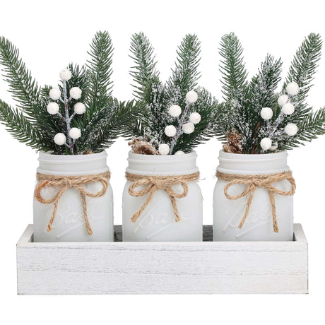 SUPREME LIGHTS ·2017· Christmas Mason Jars, Winter White Mason Jars, Christmas Centerpieces for Home Table Decor, Wood Tray & 3 Decorative Jars, Winter Farmhouse Dining Table Centerpieces Decoration SUPREME LIGHTS ·2017·