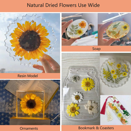 50 Pcs Dried Flowers for Resin,Real Pressed Flowers Leaves Mixed Multiple Natural Kit for Christmas DIY Gift,Art Crafts,Candle, Soap Making, Nails Decor Flyekist