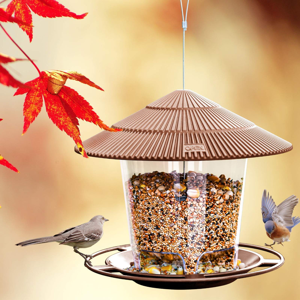 Hanizi Hanging Bird Feeder Squirrel Proof for Outdoor Wild Bird Seed, Brown Hanizi