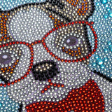 DIY 5d Diamond Painting Kits with White Frame Dog 6X6 inch for Beginners Adults Kids KACASHIP