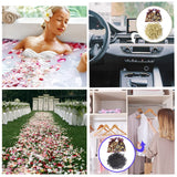 40 Bags Natural Dried Flowers Kit, Natural Dried Herbs with 2 Mesh Drawstring Bag for Soap,Candle,Resin Jewelry Making,Bath,Nail - Rose Petals,Rosebuds,Lilium,Jasmine,Don't Forget Me and More SACATR